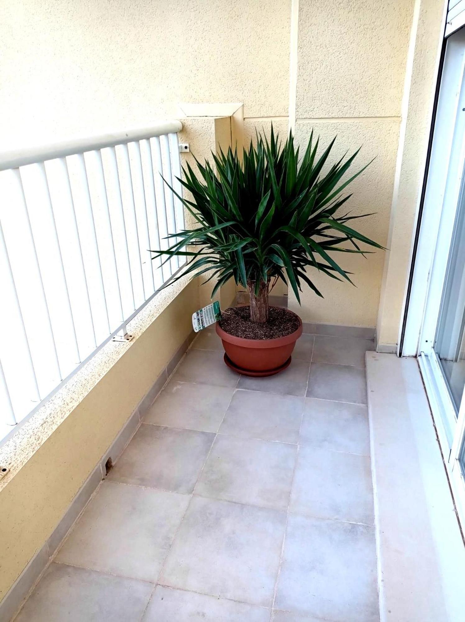 Apartamento Playasol 德尼亚 外观 照片