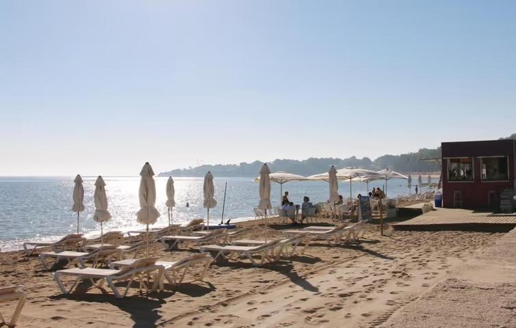 Apartamento Playasol 德尼亚 外观 照片